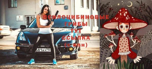 герыч Богородицк