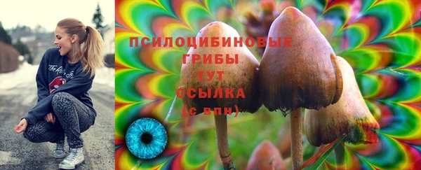 тгк Беломорск