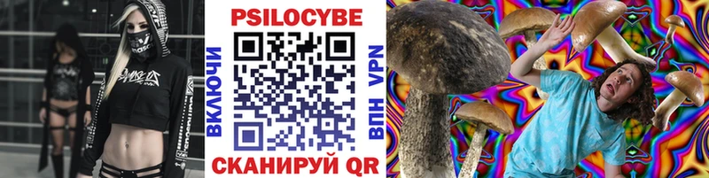 Псилоцибиновые грибы GOLDEN TEACHER Жуковский